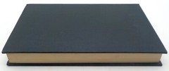 THE WORLD BELOW S Fowler Wright Hyperion Press HC 1976
